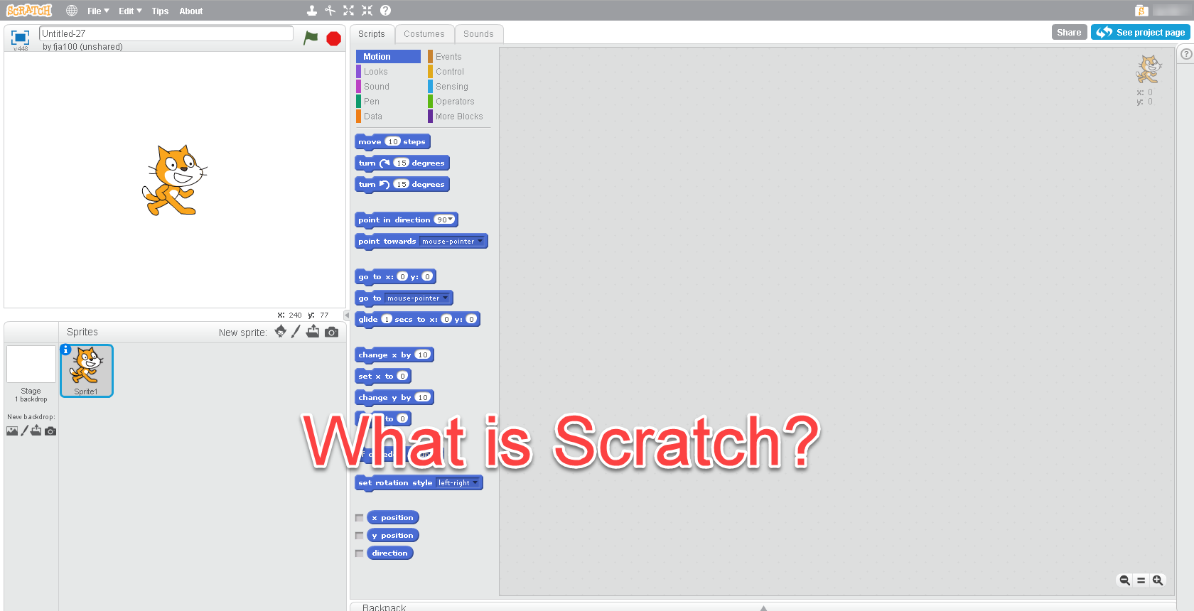 What does apley scratch test for